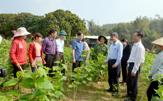 Lãnh đạo huyện Văn Chấn kiểm tra mô hình trồng dâu tại thị trấn Nông trường Liên Sơn.
